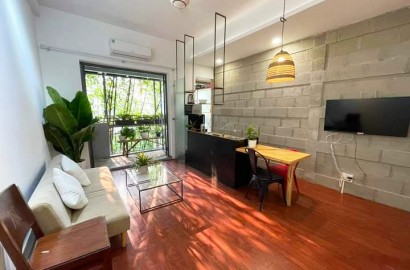 Nice 1 bedroom apartment for rent on Pho Duc Chinh near Ba Chieu Market