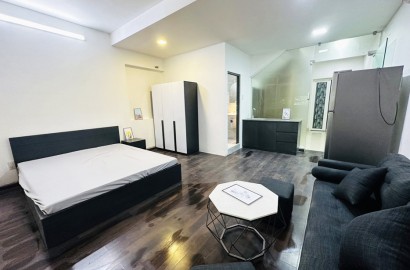 Studio apartmemt for rent on Truong Cong Dinh street in Tan Binh district