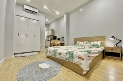 Studio apartmemt for rent on Ly Tu Trong street in District 1