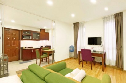 1 bedroom apartment on Phan Ke Binh street - District 1