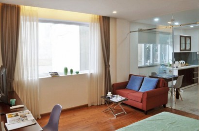 Comfortable 1 bedroom apartment, lots of light near Tao Dan Park