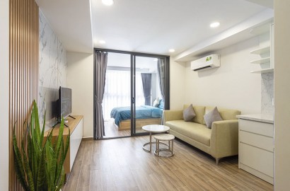 Cho thuê căn hộ 1 phòng ngủ đẹp sáng đường Trần Đình Xu