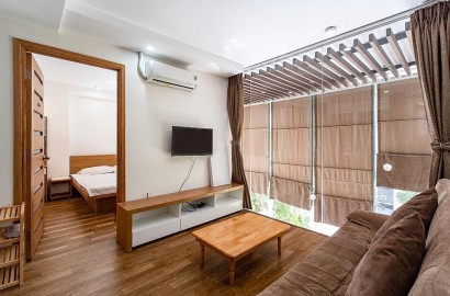 1 bedroom apartment with wooden floor, lots of natural light in Thao Dien area