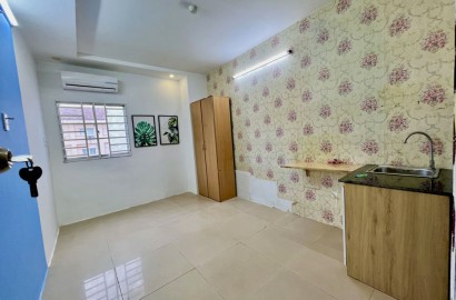 Mini apartment for rent in Trung Son area