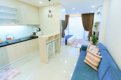 Serviced apartment with lots of light on Tran Dinh Xu street