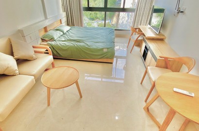 Serviced apartment with lots of light on Nguyen Ngoc Phuong street