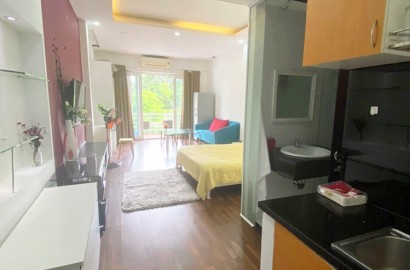 Large serviced apartment with balcony opposite Tao Dan park