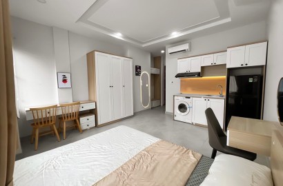 Serviced apartmemt for rent on Cuu Long street near The Airport