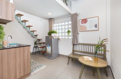 Apartment with loft on Dien Bien Phu street - District 10