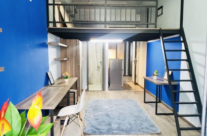 Spacious apartment with loft, street 63 - Tan Phong