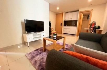 1 bedroom apartment and large living room on Nguyen Ngoc Phuong street