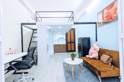 Cho thuê căn hộ duplex có ban công thoáng mát đường Phan Kế Bính Quận 1