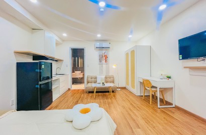 Serviced apartmemt for rent on Hoang Van Thu street near the airport