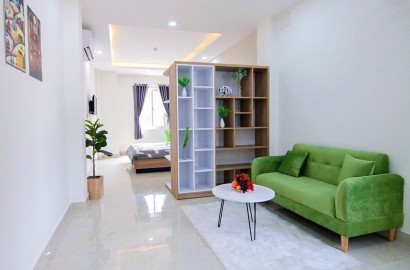 Spacious serviced apartmemt for rent on Phan Dang Luu Street